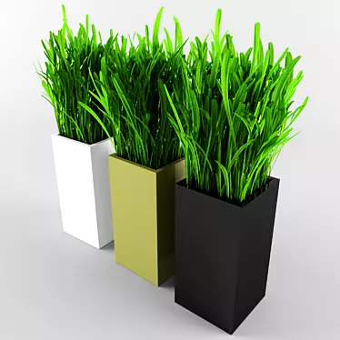 Lush Green Grass for Your Garden 3D model image 1 