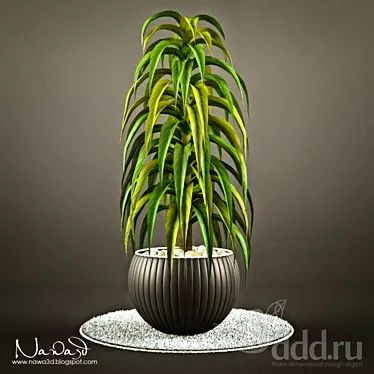 Blooming Bliss: Elegant Pot Plant 3D model image 1 