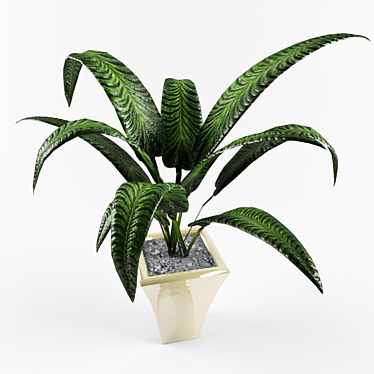 Indoor Greenery: Ideal Houseplants 3D model image 1 