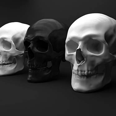 Skull Decor: Authentic Human Replica 3D model image 1 