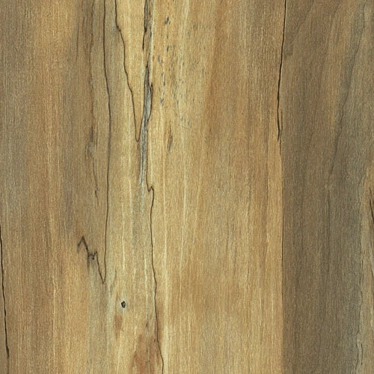Spalted Maple Texture Board 3D model image 1 