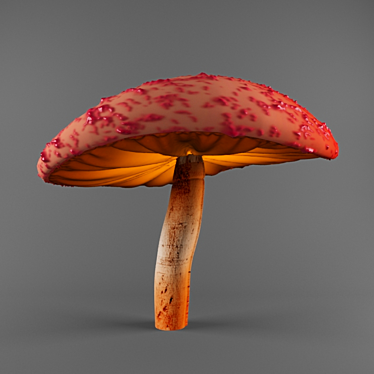 Wonderland Mushroom 3D model image 1 