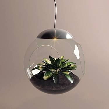 Lamp with a living plant
