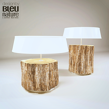 Natural Wood and Metal Lamp 3D model image 1 