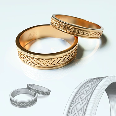 Braided Mesh Ring 3D model image 1 