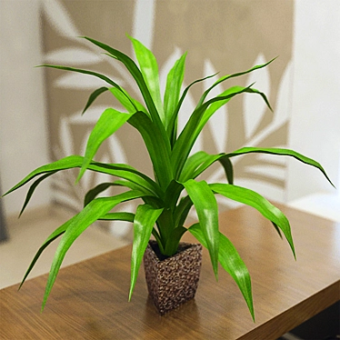 Leafy Serenity: Dracaena Pot 3D model image 1 