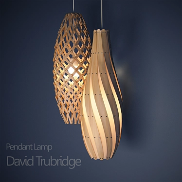 Elegant Trubridge Pendant Light 3D model image 1 