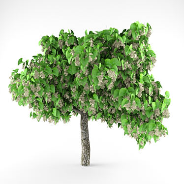 Exquisite Catalpa Tree: A Beautiful Addition to Your Garden 3D model image 1 