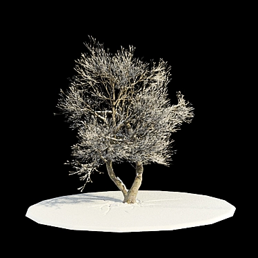 tree-snow v3 / tree in snow v3