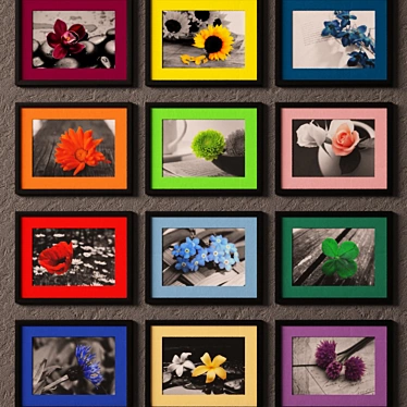 Colorful Flower Photos with Mat 3D model image 1 