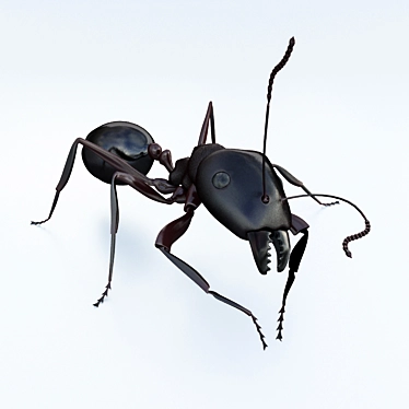 Tiny Insect 3D Model 3D model image 1 