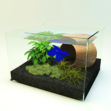 Home Aquarium: Just Like Mine! 3D model image 1 