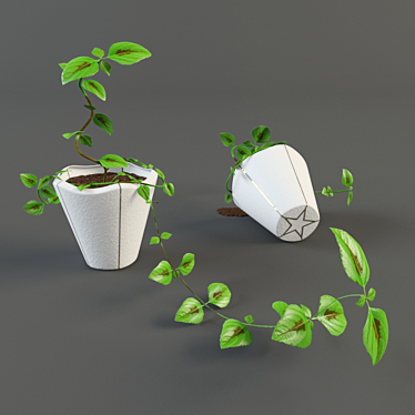 Fresh Green Plant 3D model image 1 