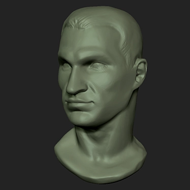 Title: Klitschko Heavyweight Boxing Bust 3D model image 1 