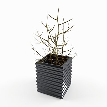 Elegant Branch Vase 3D model image 1 