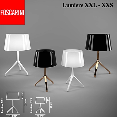 Elegant Illumination: Foscarini Lumiere 3D model image 1 