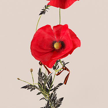 Stylish Poppies Skin Wrap 3D model image 1 