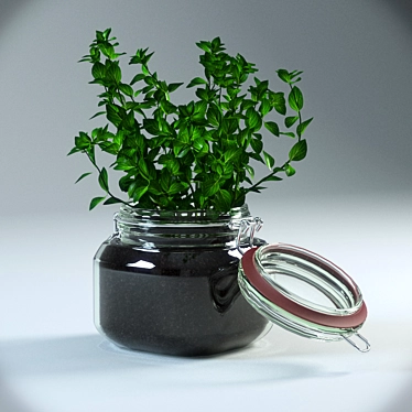 Natural Oregano Pot Plant 3D model image 1 