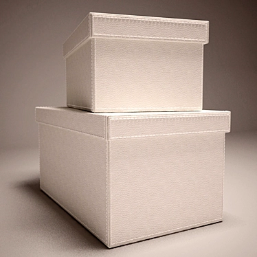 Leather-covered Boxes: 40x25x20cm 3D model image 1 