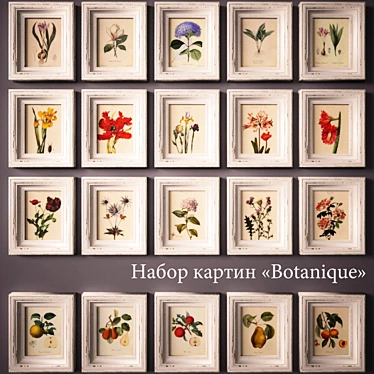 Title: PROFI Botanique Framed Floral and Fruit Paintings 3D model image 1 