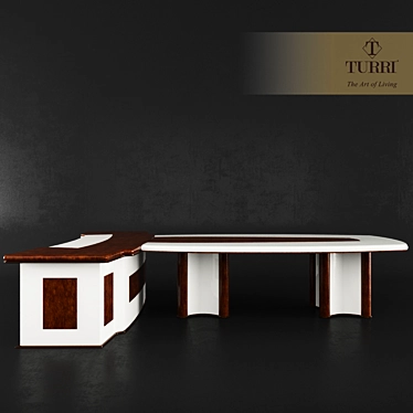 Turri Caractere Office Table: Italian Elegance for Your Workspace 3D model image 1 