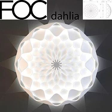 FOC Dahlia