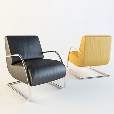  Stylish W.schillig Wheelchair 3D model image 1 