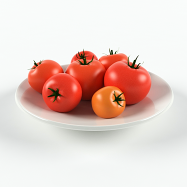 Garden Fresh Tomatoes 3D model image 1 