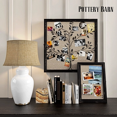 Pottery Barn RUSTIC FRAME SHADOW BOXES