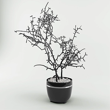 Elegant Blossom Shrub 3D model image 1 