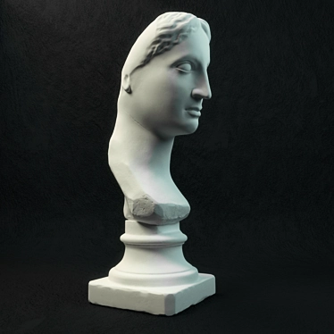 Goddess of Beauty: Venus Bust 3D model image 1 