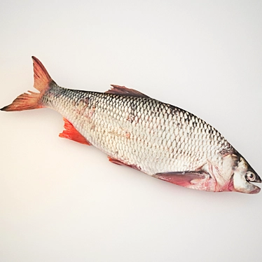 Fresh Catch: Raw Fish 3D model image 1 