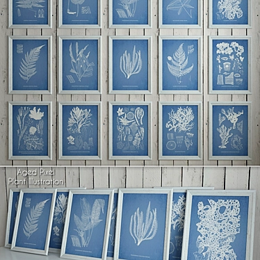 Vintage Plant Illustrations Bundle 3D model image 1 