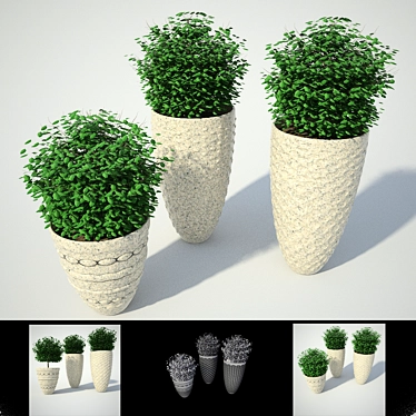 Modern Vases: BUSHS #1 3D model image 1 