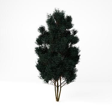 Houseplant Cardin Green