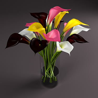 Vibrant Calla Lilies: Multi-Colored Beauty 3D model image 1 