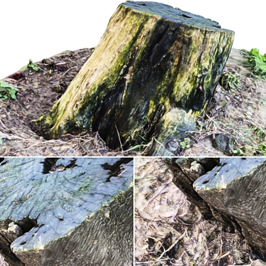  Rustic Tree Stump Side Table 3D model image 1 