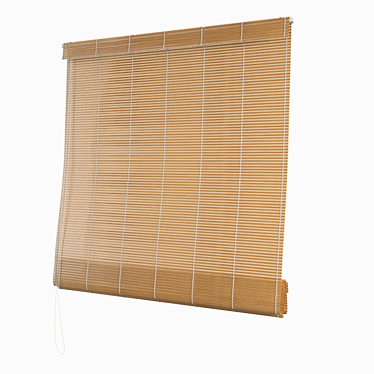 Mid Poly Wooden Roll Blind 3D model image 1 