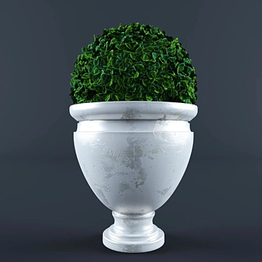 Miniature Bush in a Pot 3D model image 1 