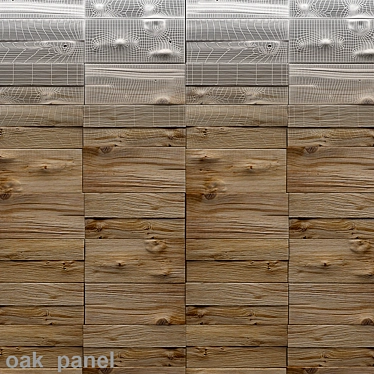 Natural Oak Panel 3D model image 1 