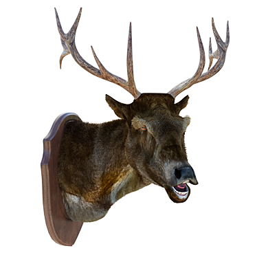 Stylish Deer Head Decoration 3D model image 1 
