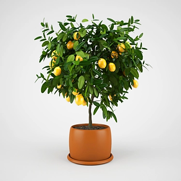 Citrus Bliss Lemon Tree 3D model image 1 