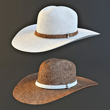 Fashionable Fedora Hat 3D model image 1 
