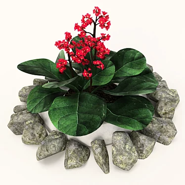 Heartleaf Bistort: Long-lasting Perennial Model 3D model image 1 