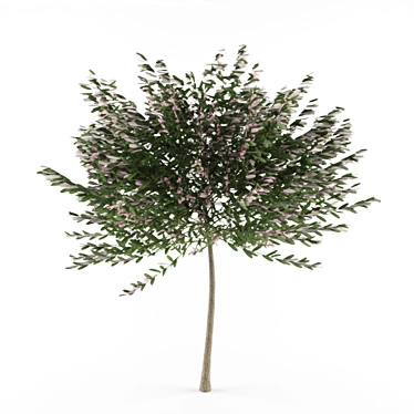 Compact Colorful Willow Bush 3D model image 1 