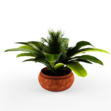 Houseplant Turtle Green