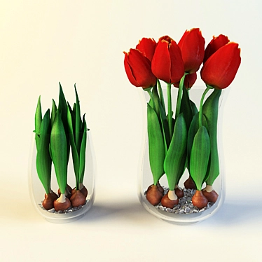 Elegant Tulip Bulbs Collection 3D model image 1 