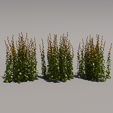 Tall Third Generation Flowers 3D model image 1 