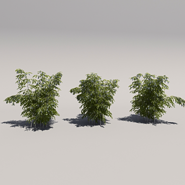 Blooming Bush Trio 3D model image 1 