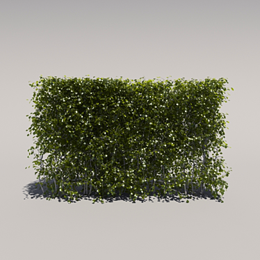 Low Bush Trimmer - 3rd Iteration 3D model image 1 